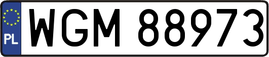 WGM88973