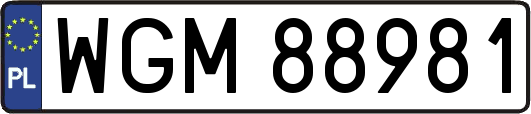 WGM88981