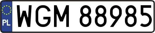 WGM88985