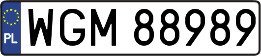 WGM88989