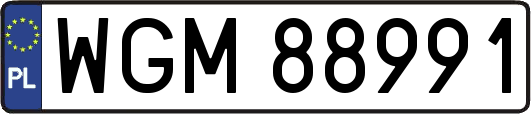 WGM88991