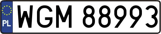 WGM88993