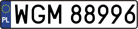 WGM88996