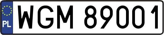 WGM89001