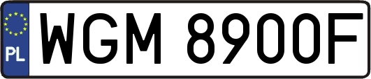 WGM8900F