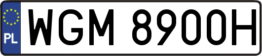 WGM8900H