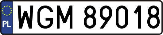 WGM89018