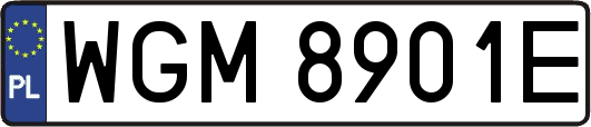 WGM8901E