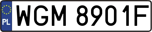 WGM8901F