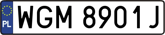 WGM8901J