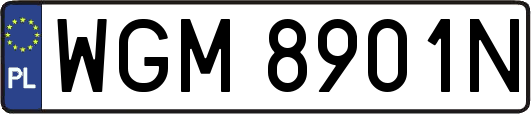 WGM8901N