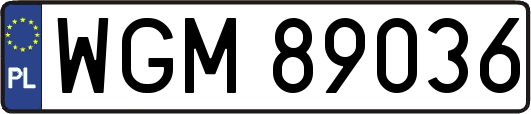 WGM89036