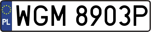 WGM8903P