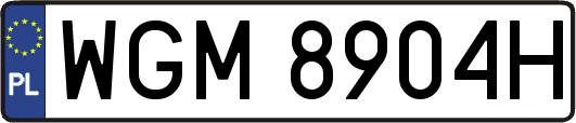 WGM8904H