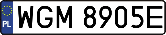 WGM8905E