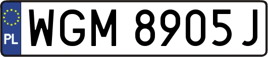 WGM8905J