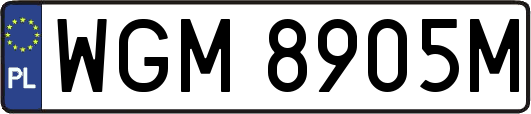 WGM8905M