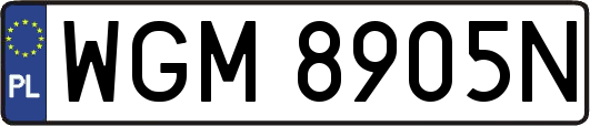 WGM8905N