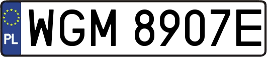 WGM8907E