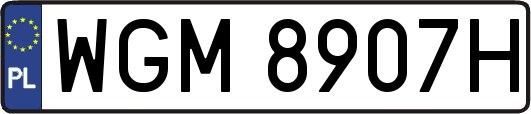 WGM8907H