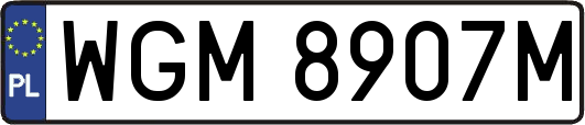 WGM8907M