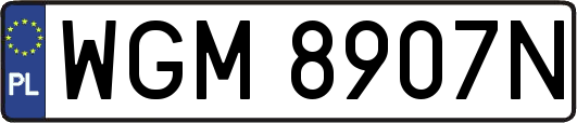 WGM8907N