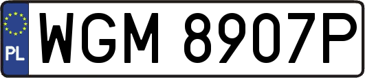 WGM8907P