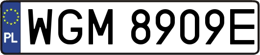 WGM8909E