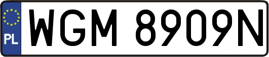WGM8909N