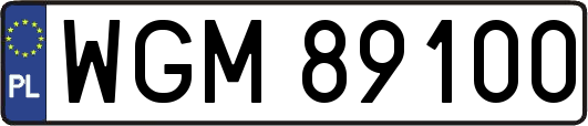 WGM89100