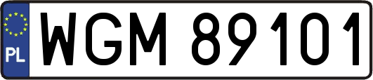 WGM89101