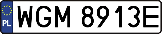 WGM8913E