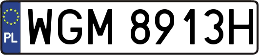 WGM8913H