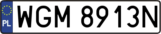 WGM8913N