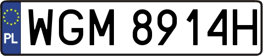 WGM8914H