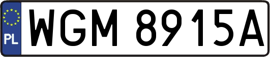 WGM8915A