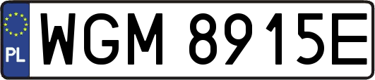 WGM8915E