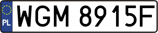 WGM8915F