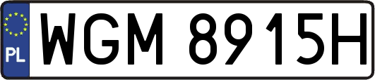 WGM8915H