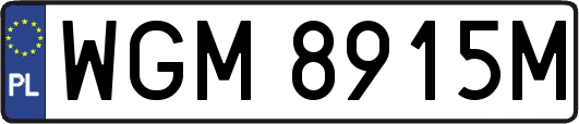 WGM8915M