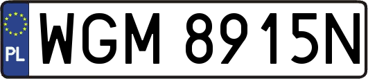 WGM8915N