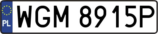 WGM8915P