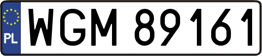 WGM89161