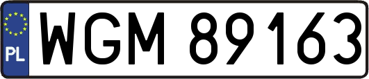 WGM89163