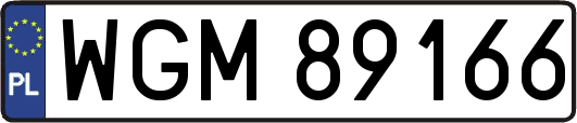 WGM89166