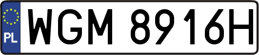 WGM8916H