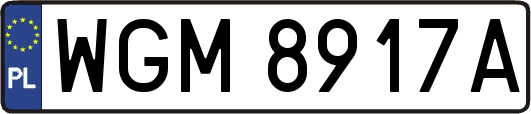 WGM8917A