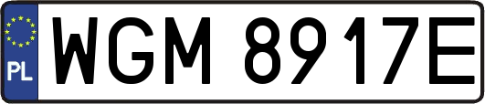 WGM8917E