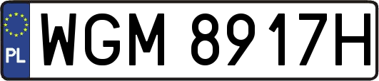 WGM8917H