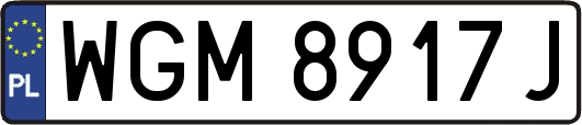 WGM8917J